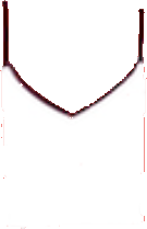 White V-Tank